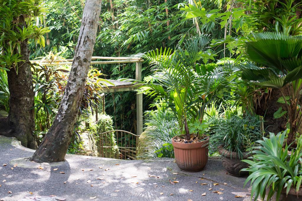 Serenity House Hotel Ubud Esterno foto