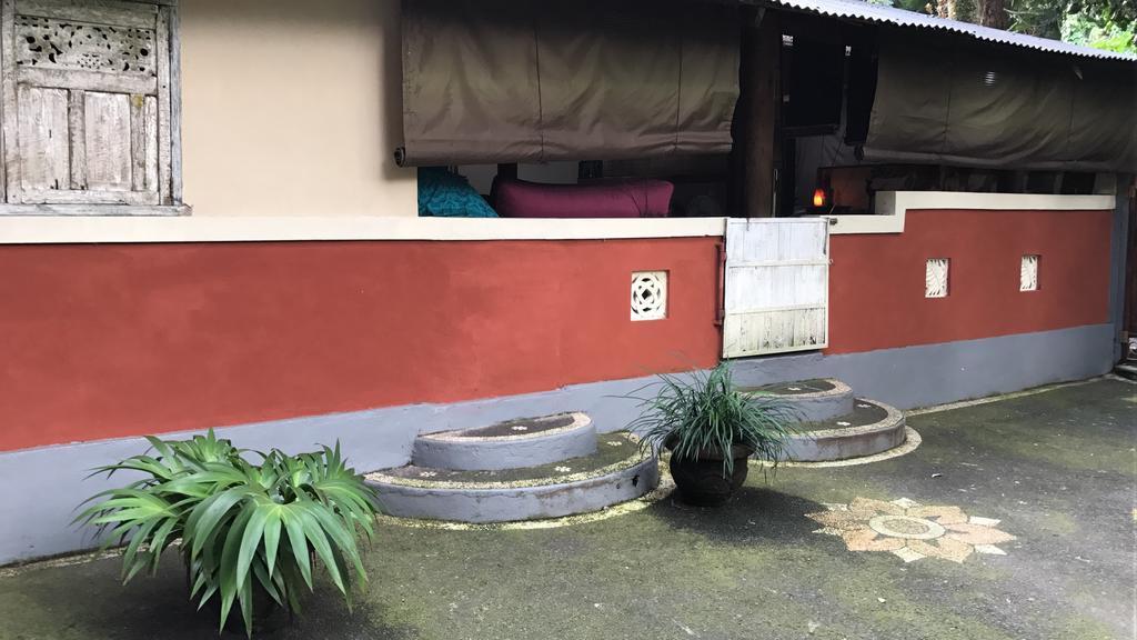 Serenity House Hotel Ubud Esterno foto